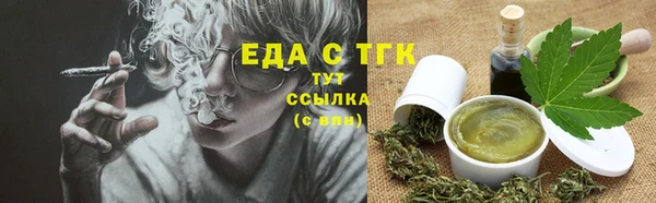 мдпв Бородино