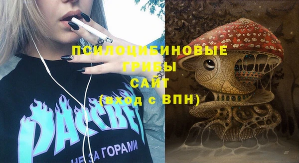 2c-b Бронницы