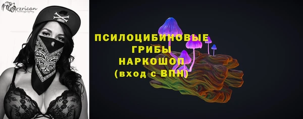 мдпв Бородино