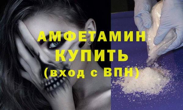 мдпв Бородино