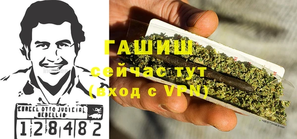 мдпв Бородино