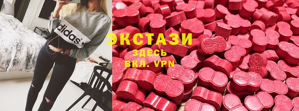 мдпв Бородино