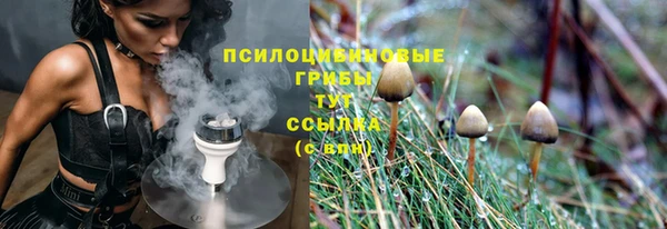 мдпв Бородино