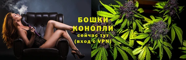 мдпв Бородино