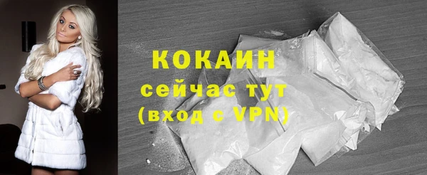 мдпв Бородино