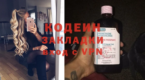 мдпв Бородино