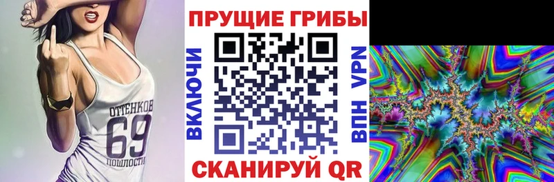 Галлюциногенные грибы мицелий  продажа наркотиков  Курган 