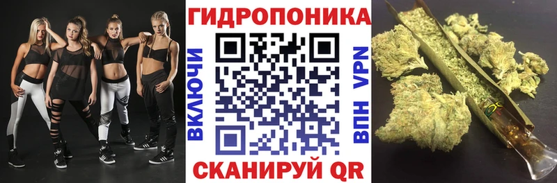 где найти наркотики  Курган  гидра рабочий сайт  Каннабис план 