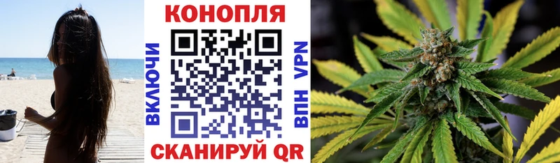Шишки марихуана OG Kush Курган